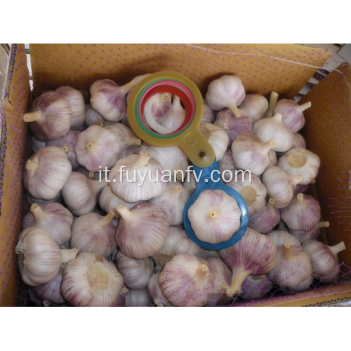 aglio bianco fresco della pelle aglio del raccolto di jinxiang